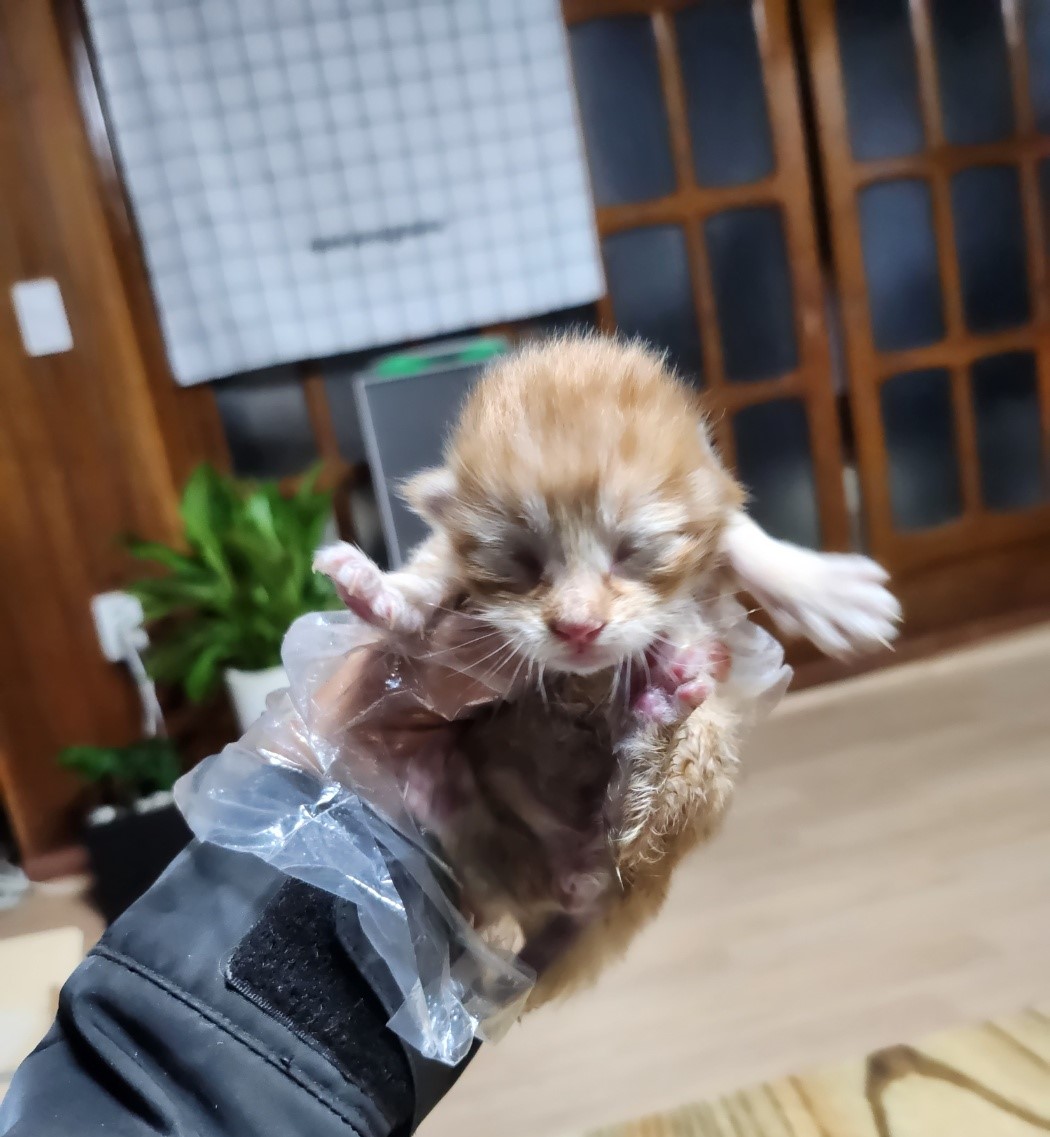 울산유기동물보호센터_431372202300608